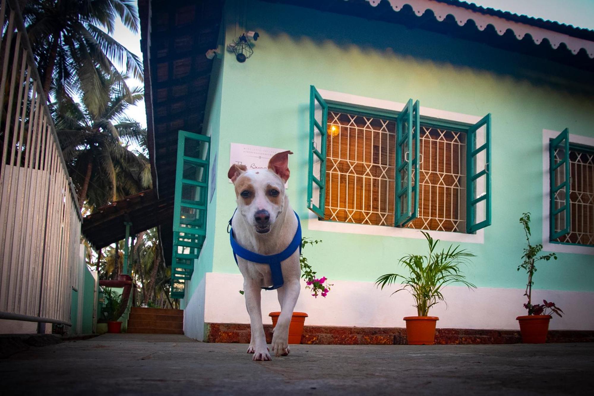 The Bungalow Bogmalo An 1880 Indo Portuguese Heritage Beach Villa South Goa Zewnętrze zdjęcie